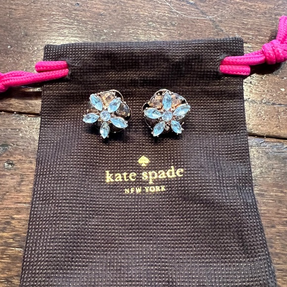 Kate Spade New York Statement Earrings
Color: Rose gold
Dust bag included - Picture 4 of 5